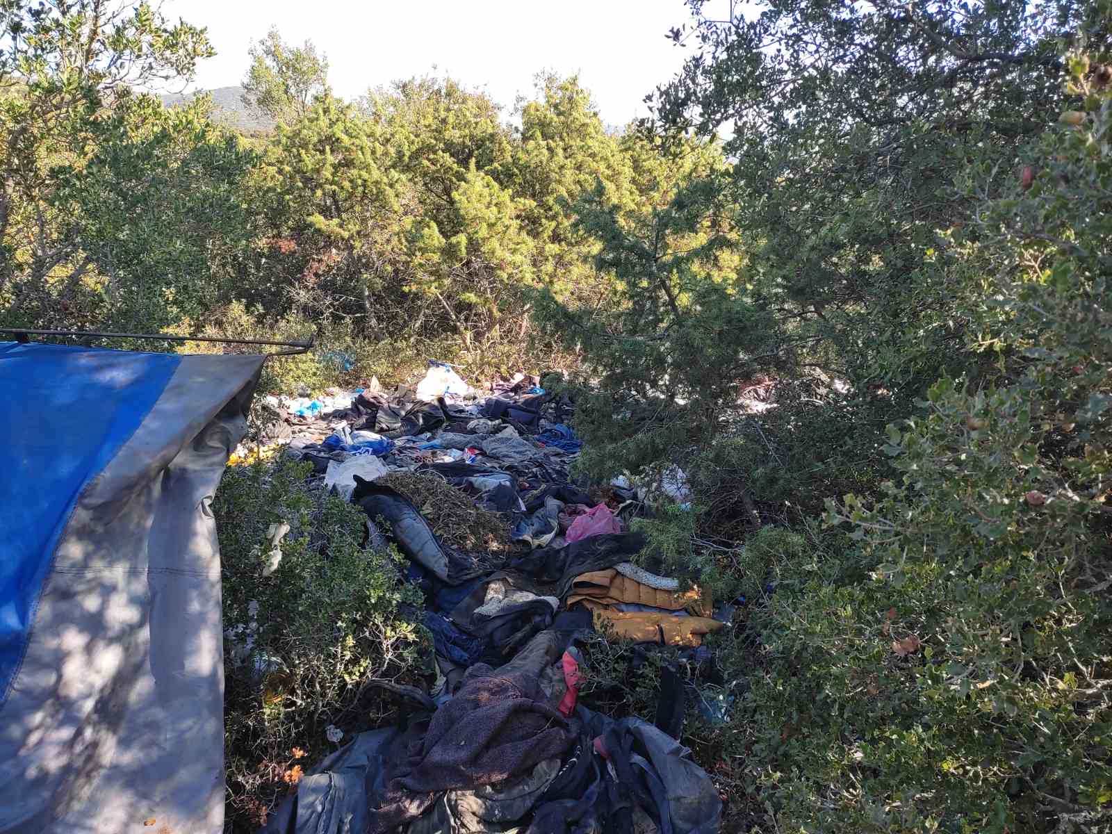 Θεσσαλονίκη: Φυλακισμένοι σε αυτό το δάσος – Η εικόνα από το μαρτύριο που έζησαν με ξύλο και απειλές
