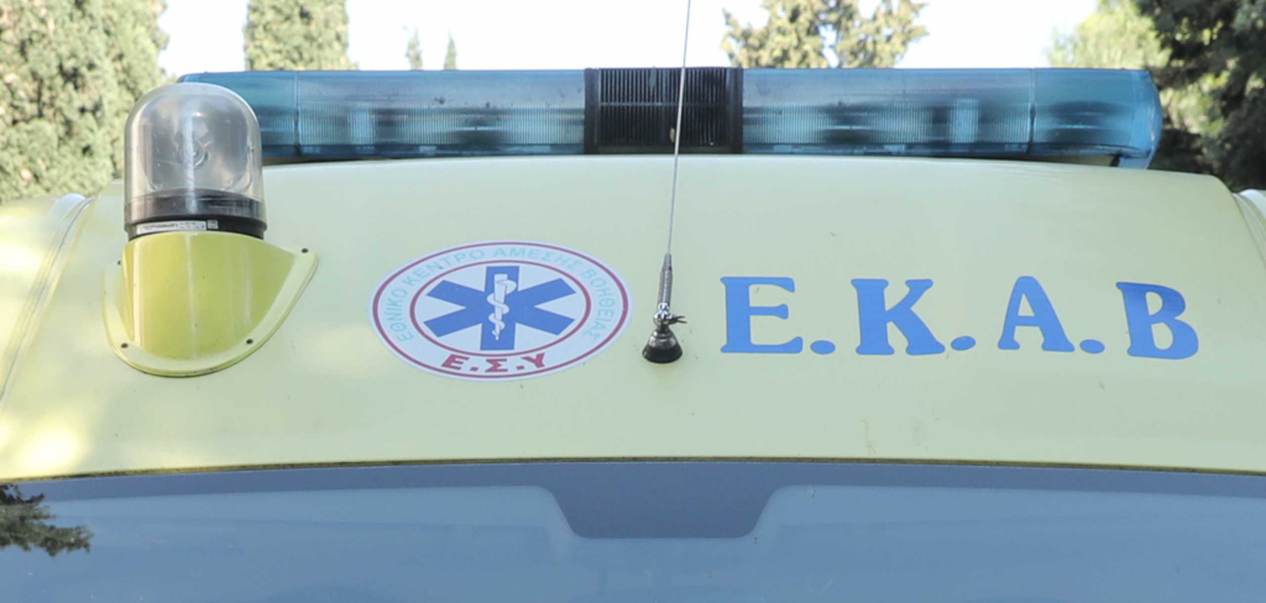 Εύβοια: Στη ΜΕΘ ο 6χρονος που δαγκώθηκε από ροτβάιλερ – Συγκλονίζει η νοσηλεύτρια του