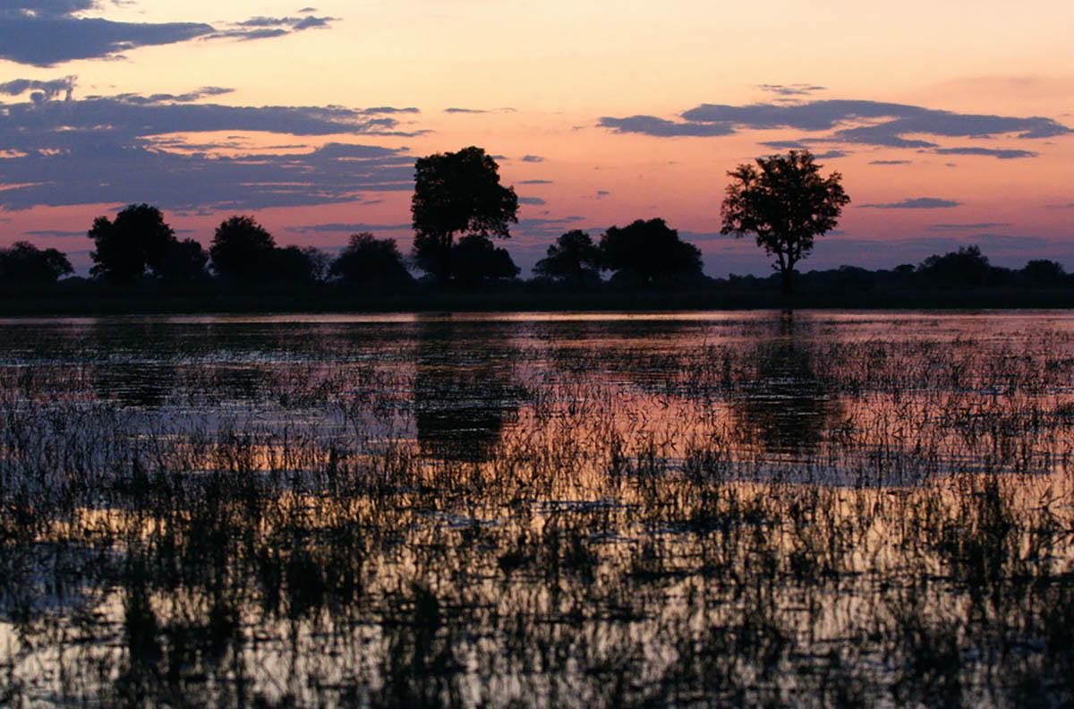 epa07957619 (FILE) - The sun sets over flooded grassland in the Kwedi concession in the northern part of the Okavango Delta, Botswana, 01 October 2007 (re-issued 29 October 2019). In a study published in the 'Nature' journal on 28 October 2019 scientists claim that the first Homo sapiens sapiens maternal lineage emerged roughly 200 thousand years ago in an area south of the Zambezi river basin which includes northern Botswana and parts of Namibia to the west and Zimbabwe to the east.  EPA