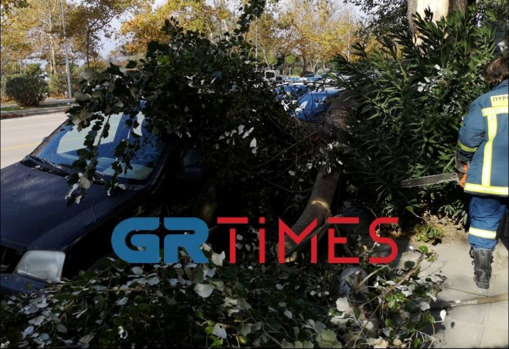 Θεσσαλονίκη: Κλαδί «προσγειώθηκε» σε αυτοκίνητο λόγω του αέρα