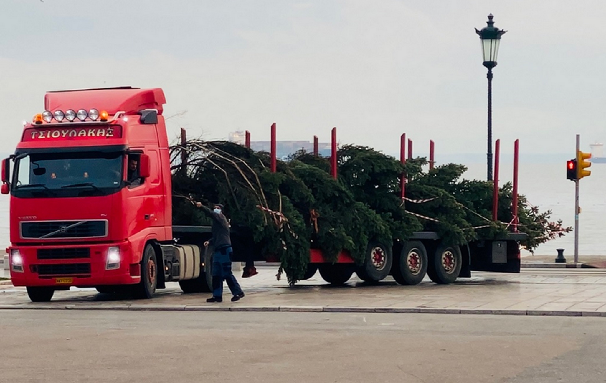 Θεσσαλονίκη: Έκλεισε ο δρόμος για να περάσει έλατο 18 μέτρων – Δείτε πως στήθηκε στην Αριστοτέλους