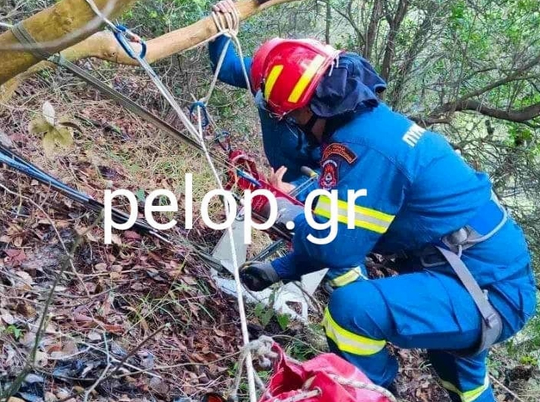 Πάτρα: Έσωσαν παγιδευμένο σκύλο σε χαράδρα 60 μέτρων – Εικόνες από την επιχείρηση σωτηρίας
