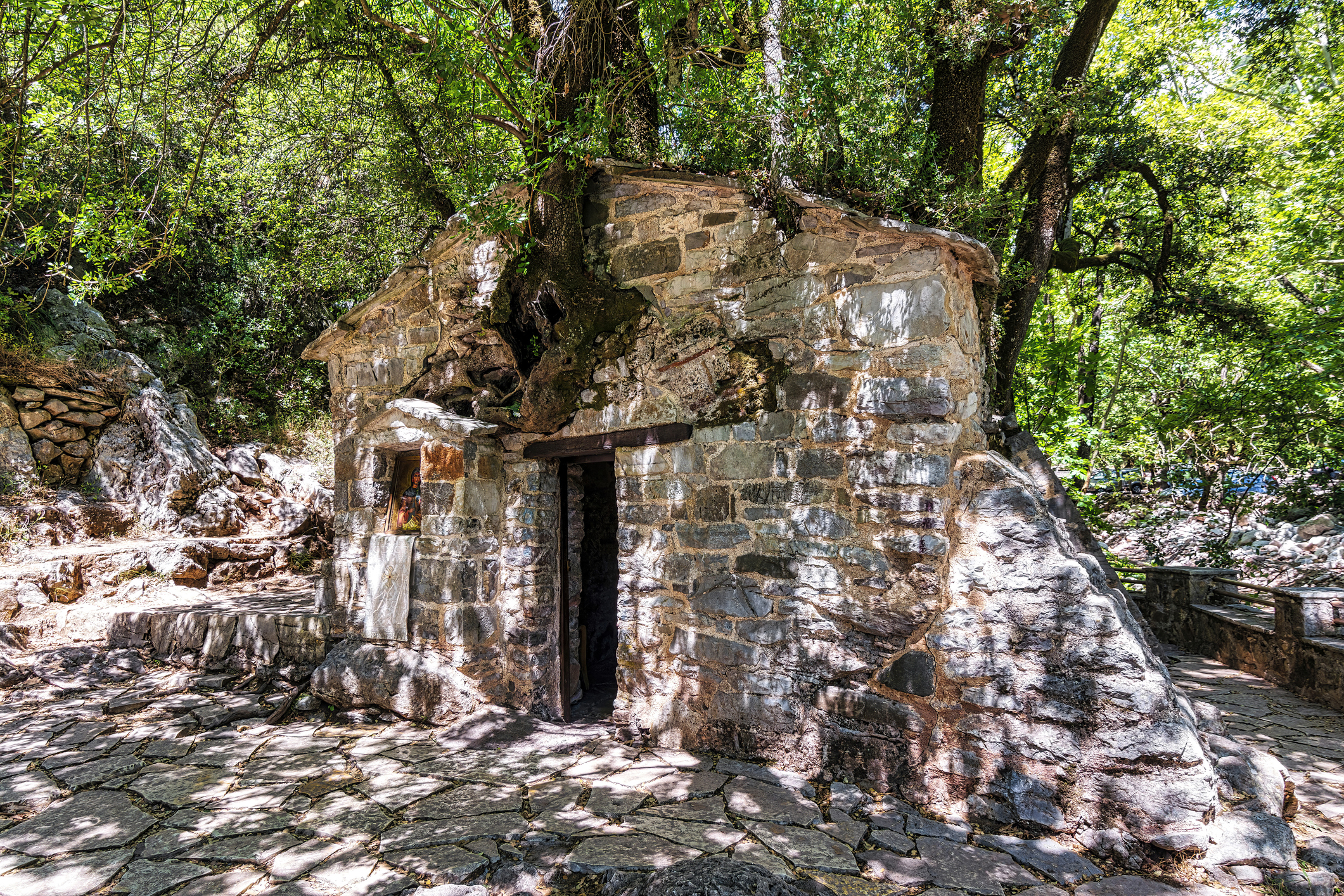 Agia Theodora of Vasta miracle church in Peloponnese, Greece. Agia Theodora Vasta is a small Byzantine church and has 17 holly and maple trees growing from its roof. Most of them are taller than 30 meters and it's phenomenal as there is only one root about the thickness of an arm that is visible beside the entrance.