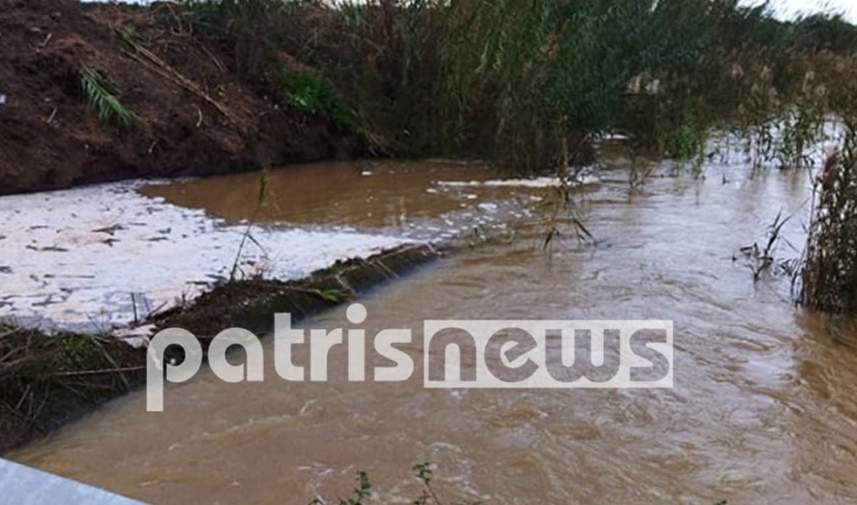 Χρήστος Τριαντόπουλος για Ηλεία: Άμεσα οι αποζημιώσεις για τις πλημμύρες – Μεγάλη καταστροφή