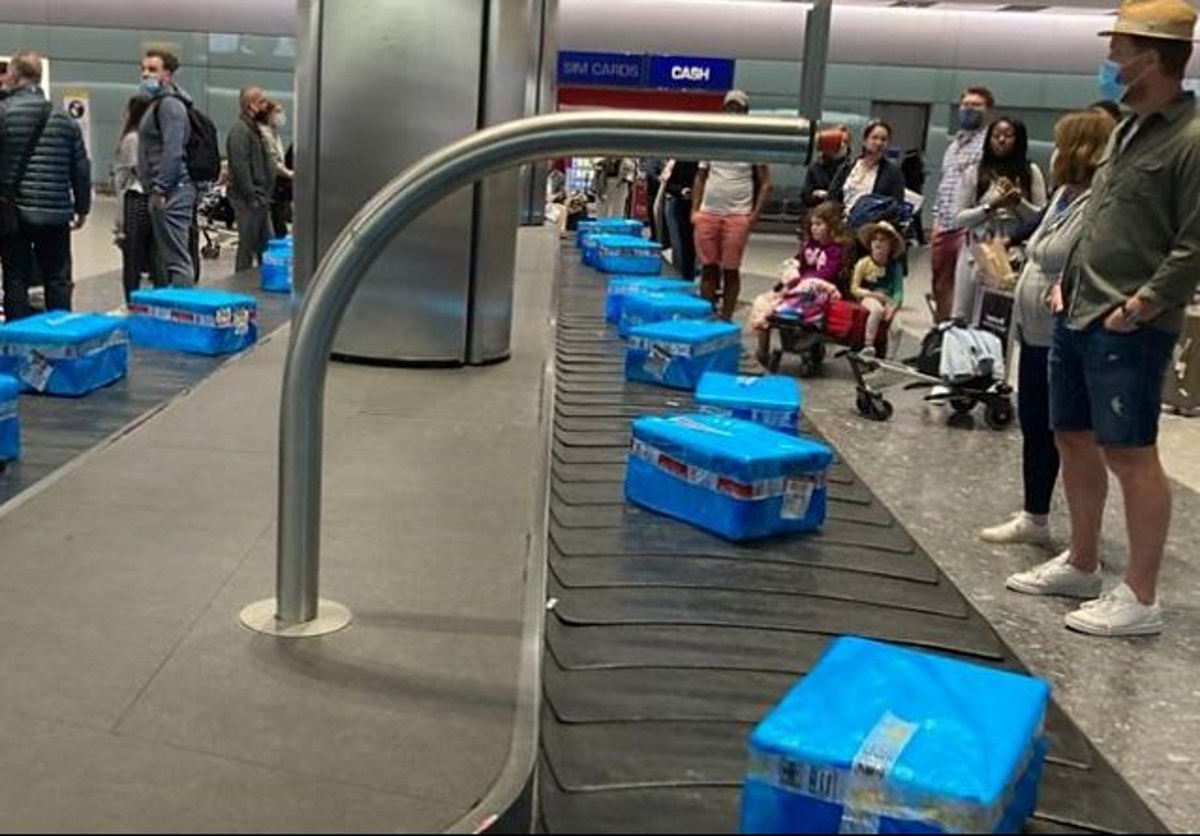 Χαμός σε πτήση από Κύπρο: Γύρισαν με κιβώτια από ψάρια, αντί για βαλίτσες