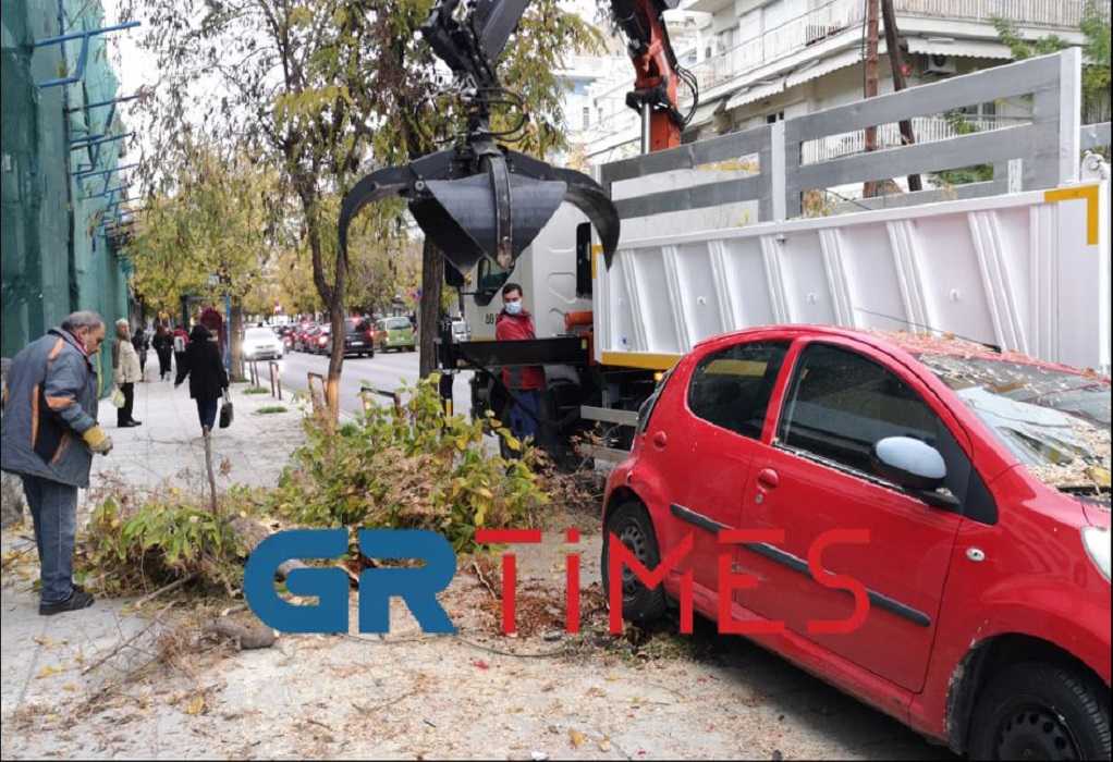 Αυτοκίνητο «καρφώθηκε» σε δέντρο στη Θεσσαλονίκη (pics+vids) Αυτοκίνητο «καρφώθηκε» σε δέντρο στη Θεσσαλονίκη (pics+vids) |