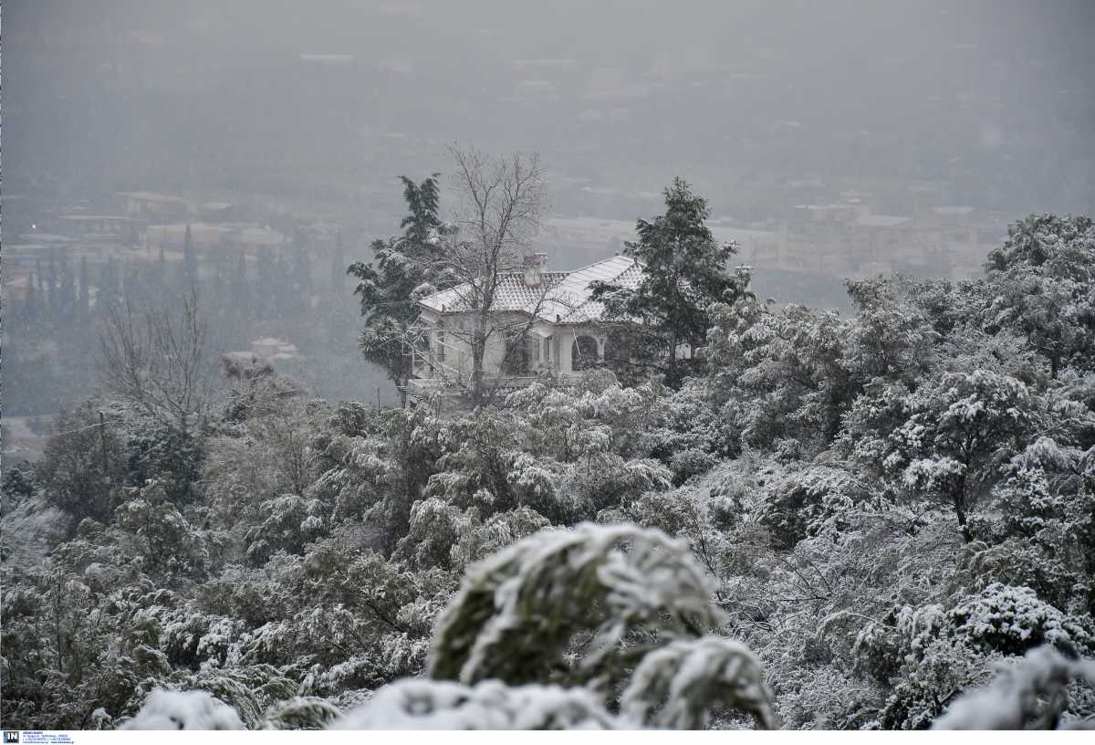 Καιρός – meteo: Ρεκόρ χιονοκάλυψης τις πρώτες μέρες του Δεκεμβρίου έφερε η πρόσφατη κακοκαιρία