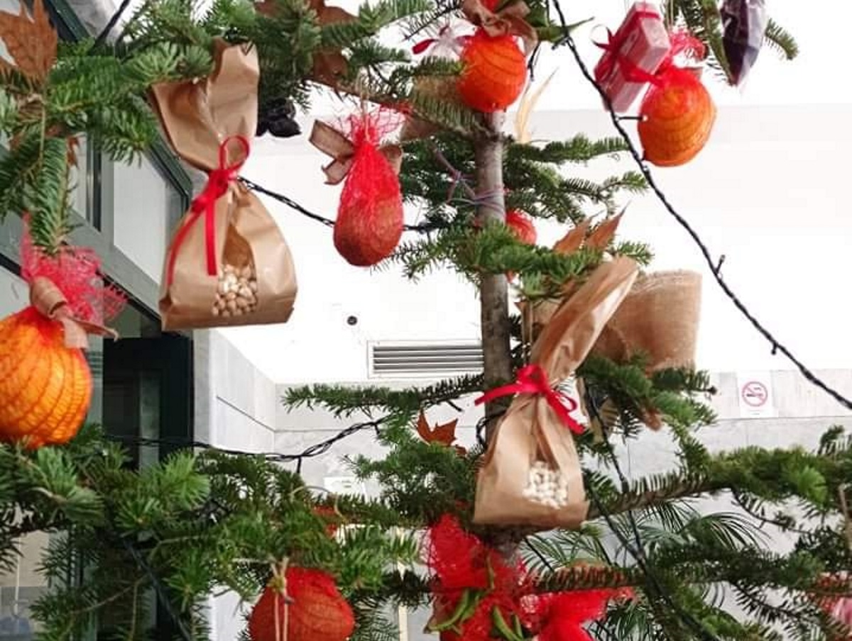 Θεσσαλονίκη: Στόλισαν  χριστουγεννιάτικο δέντρο με φρέσκα λαχανικά, φρούτα και ξηρούς καρπούς