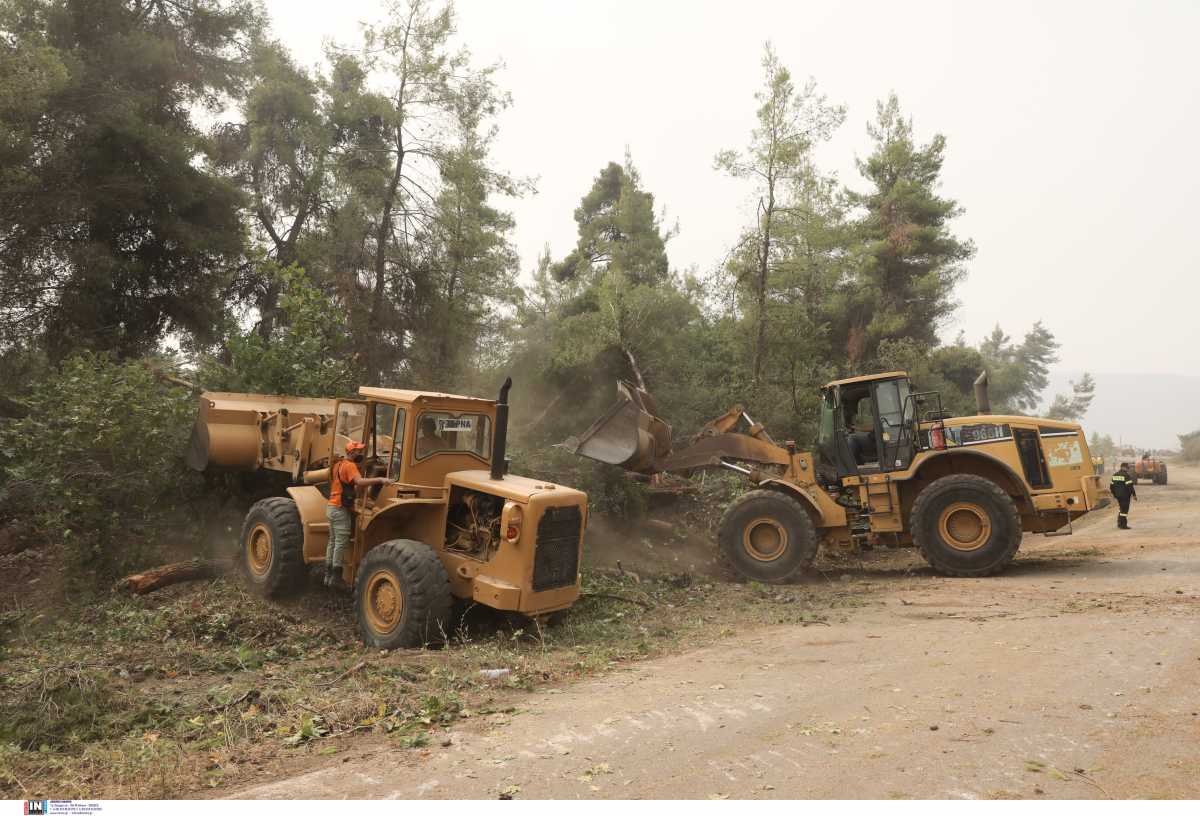 Με 50 εκατομμύρια ευρώ από το Ταμείο Ανάκαμψης προχωρούν οι καθαρισμοί και τα αντιπυρικά έργα των δασών