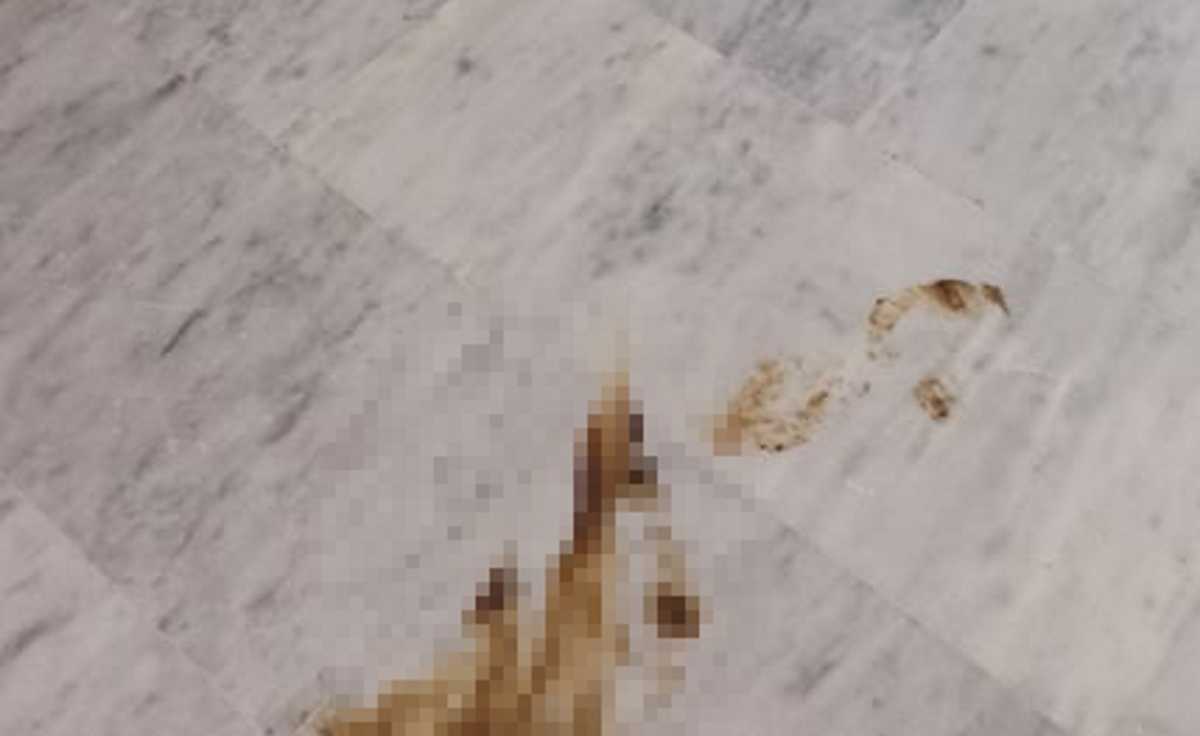 Κόπρανα στον διάδρομο του νοσοκομείου Χανίων – Οι εικόνες που αντίκρισαν οι καθαρίστριες