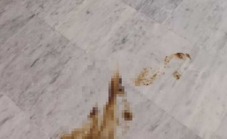 Κόπρανα στον διάδρομο του νοσοκομείου Χανίων – Οι εικόνες που αντίκρισαν οι καθαρίστριες