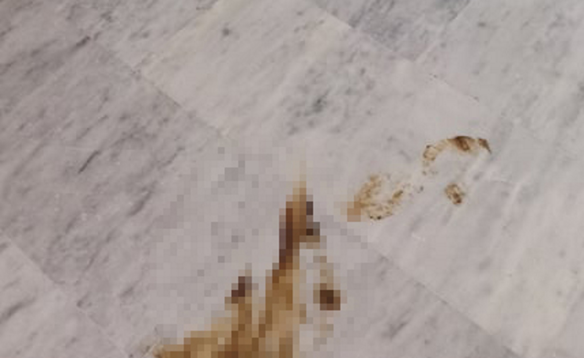 Κόπρανα στον διάδρομο του νοσοκομείου Χανίων – Οι εικόνες που αντίκρισαν οι καθαρίστριες