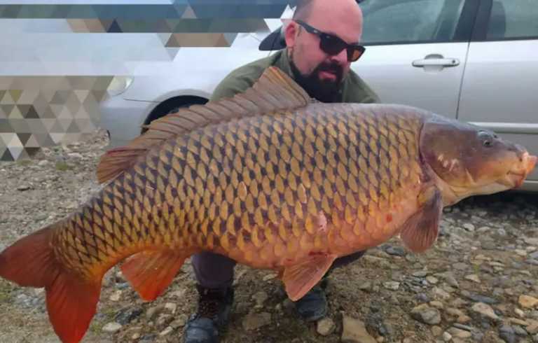 Κοζάνη: Τον «έκρυψε» το τεράστιο ψάρι που έπιασε – Το μεγαλύτερο που βγήκε τα τελευταία χρόνια