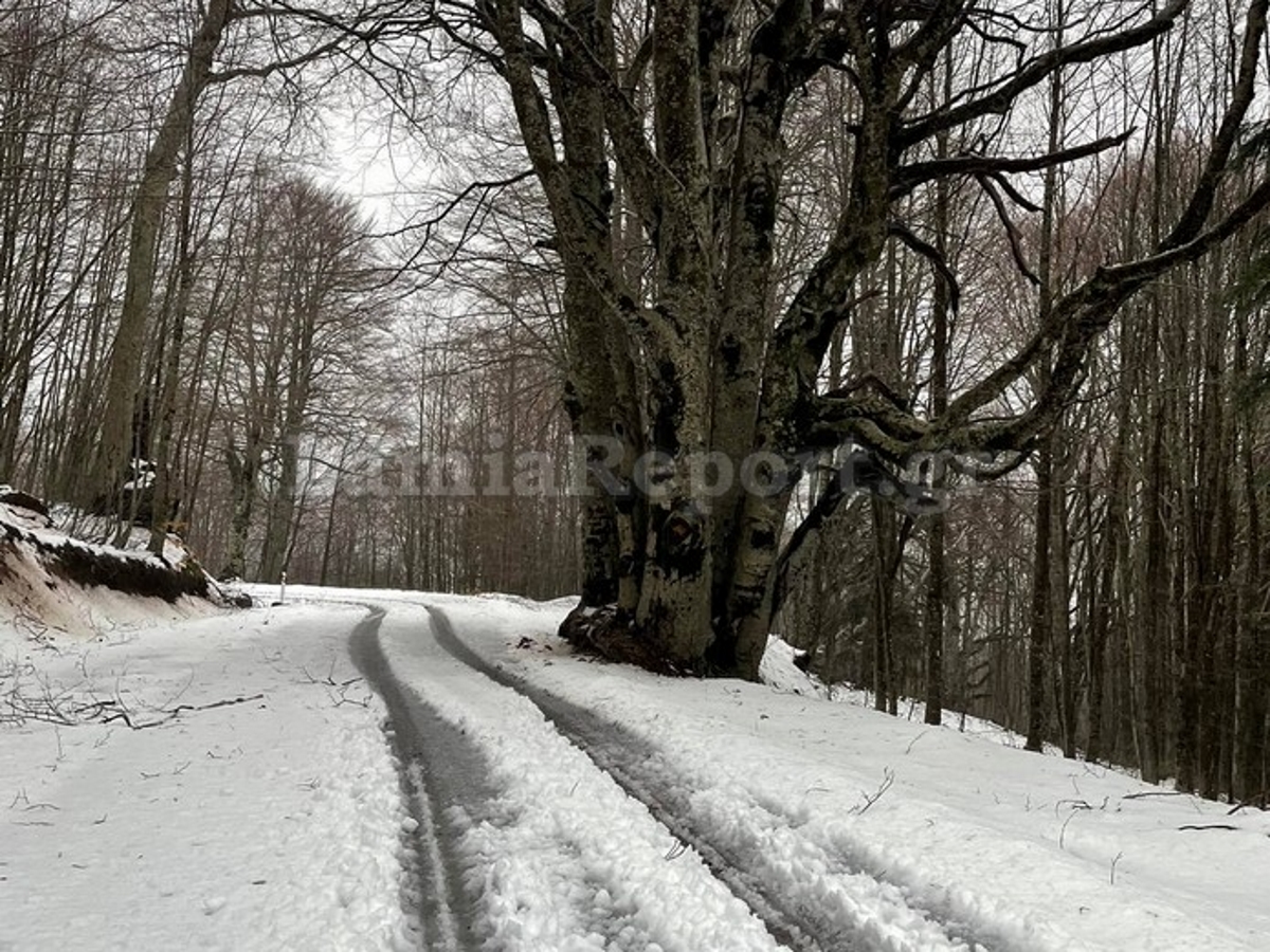 Καιρός: Που χιονίζει τώρα – Μαγευτικές εικόνες από Φθιώτιδα, Κοζάνη, Γρεβενά και Καστοριά