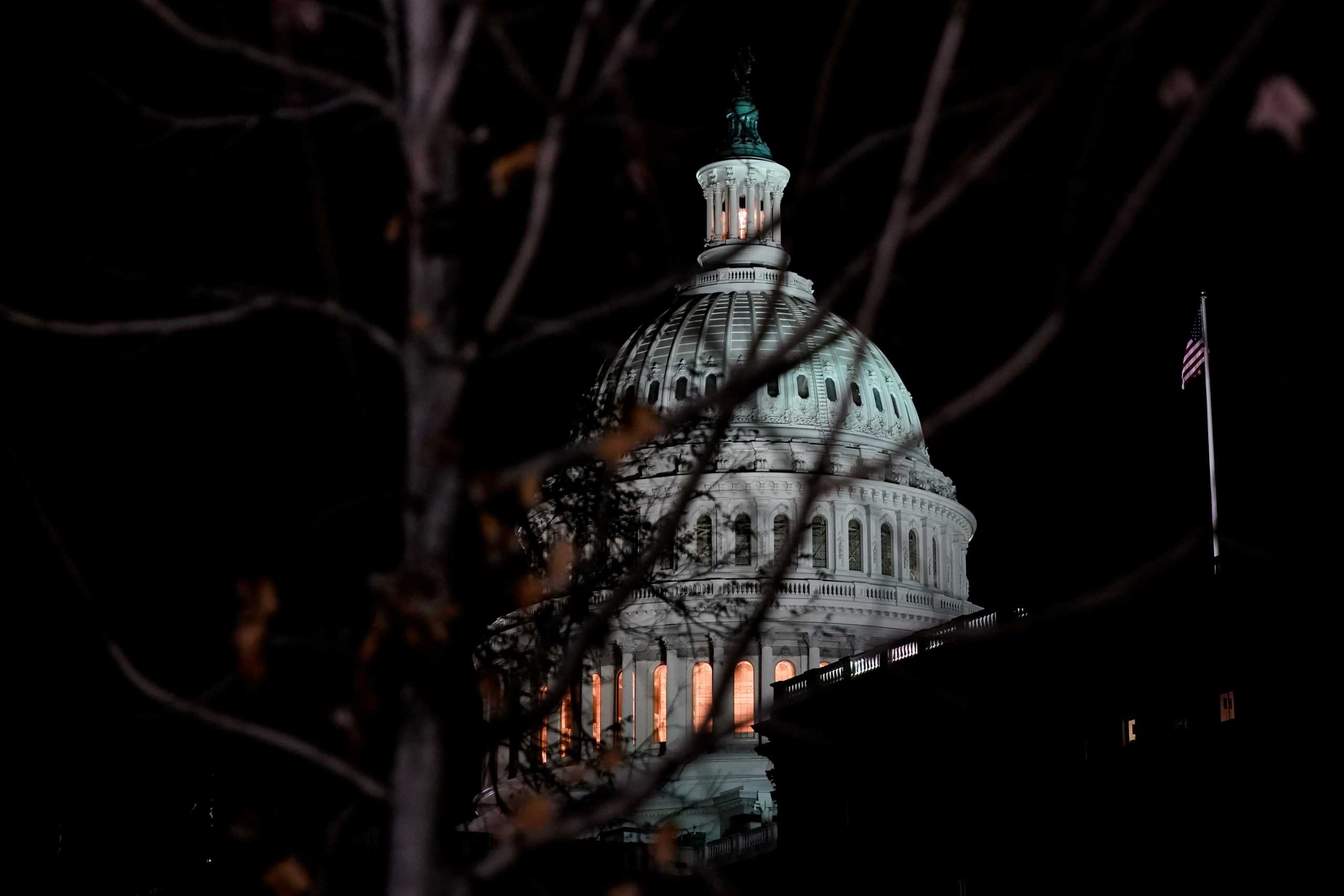 The U.S. Capitol dome is seen behind a tree at night in Washington, U.S., December 1, 2021. REUTERS