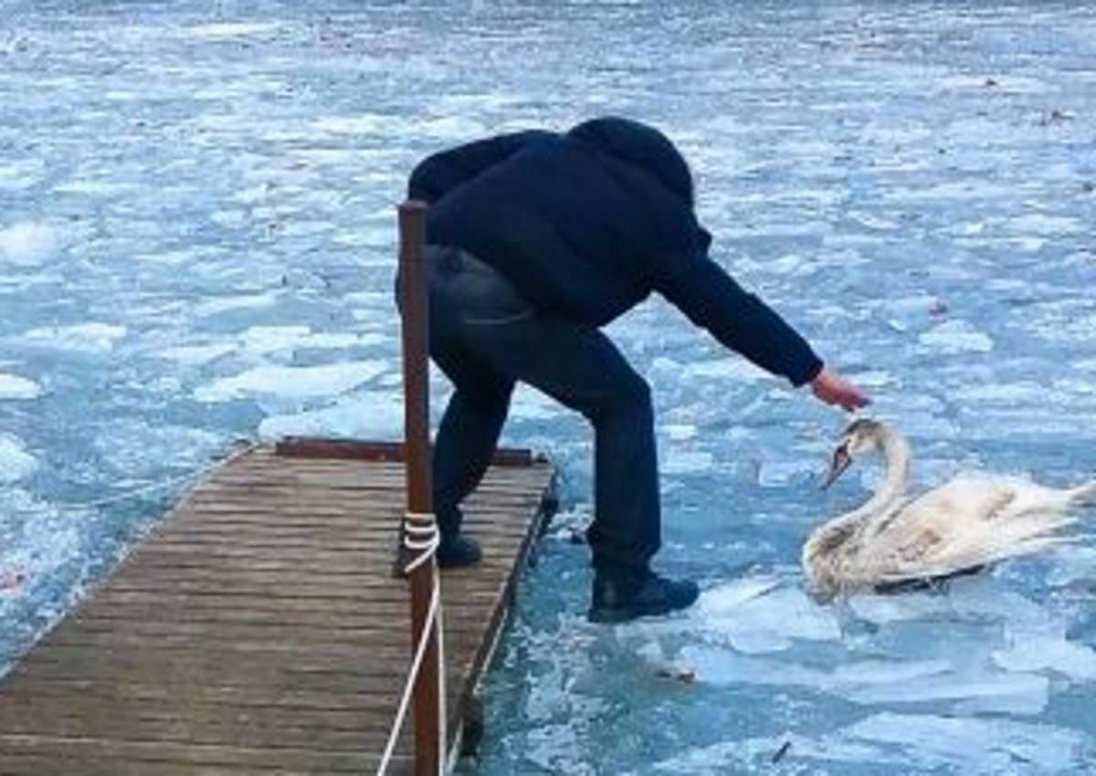 Καστοριά: Εντυπωσιακές εικόνες στη λίμνη που πάγωσε – Τσουχτερό κρύο και χιόνια στην πόλη