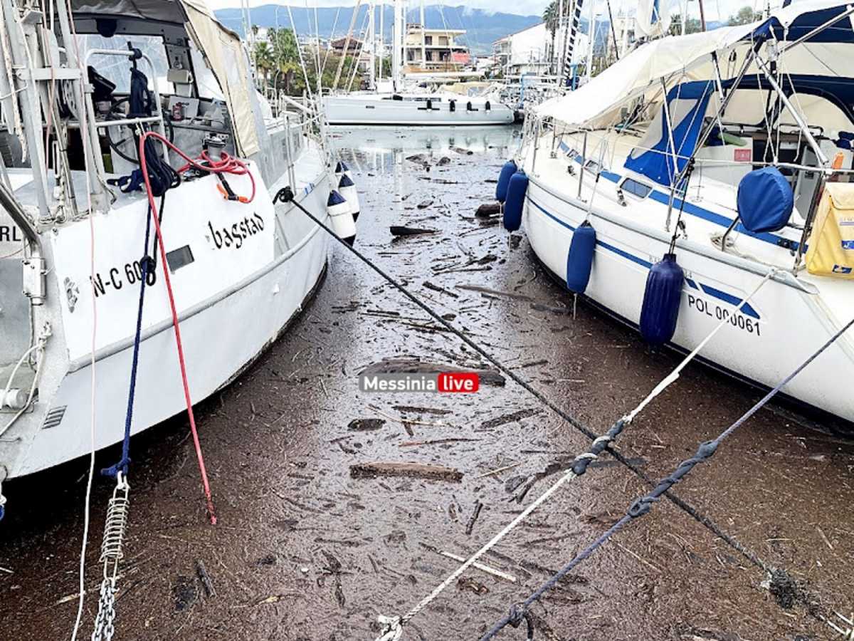 Καλαμάτα: «Μαύρισε» η θάλασσα από κορμούς δέντρων και τόνους φερτών υλικών