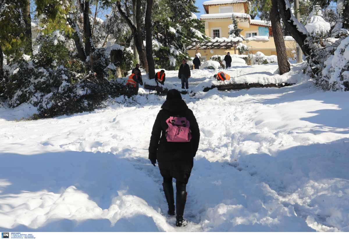 Καιρός σήμερα: Κρύο και πυκνές χιονοπτώσεις