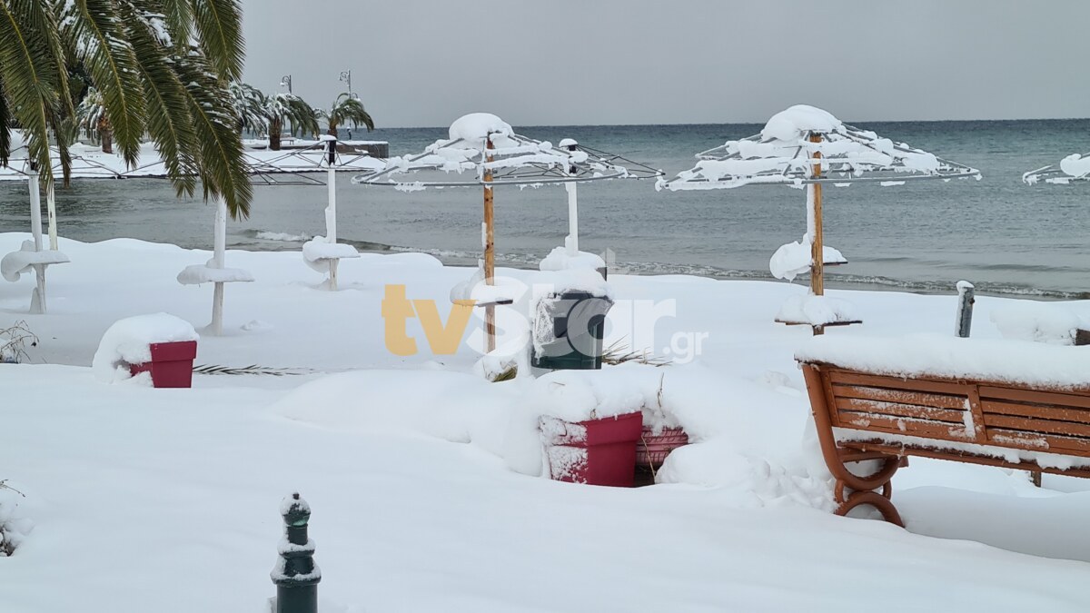 Καιρός – Φθιώτιδα: Με αυτοσχέδιο έλκηθρο στη χιονισμένη παραλία των Λιβανάτων – Δείτε το βίντεο
