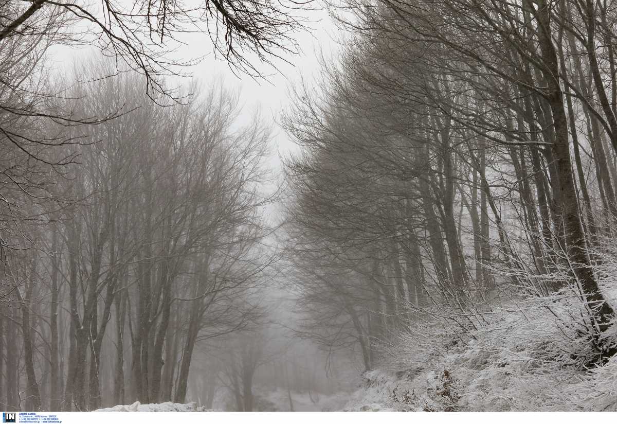 Καιρός – Πήλιο: Το χιόνι πλησιάζει το ένα μέτρο στα Χάνια – Αγώνας για να μείνουν οι δρόμοι ανοιχτοί
