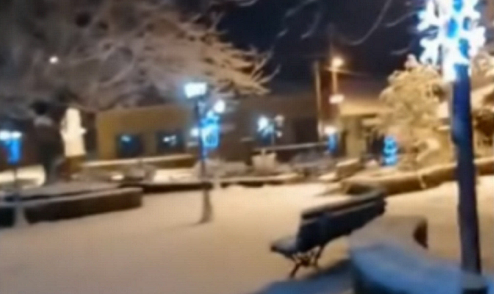 Καιρός – Εορδαία Κοζάνης: Πέπλο χιονιού και παραμυθένιες εικόνες  παντού