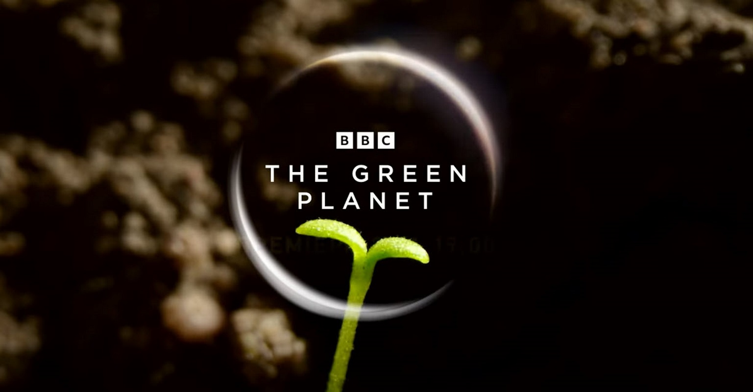 The Green Planet: Η νέα σειρά ντοκιμαντέρ για το μαγικό μυστικό κόσμο