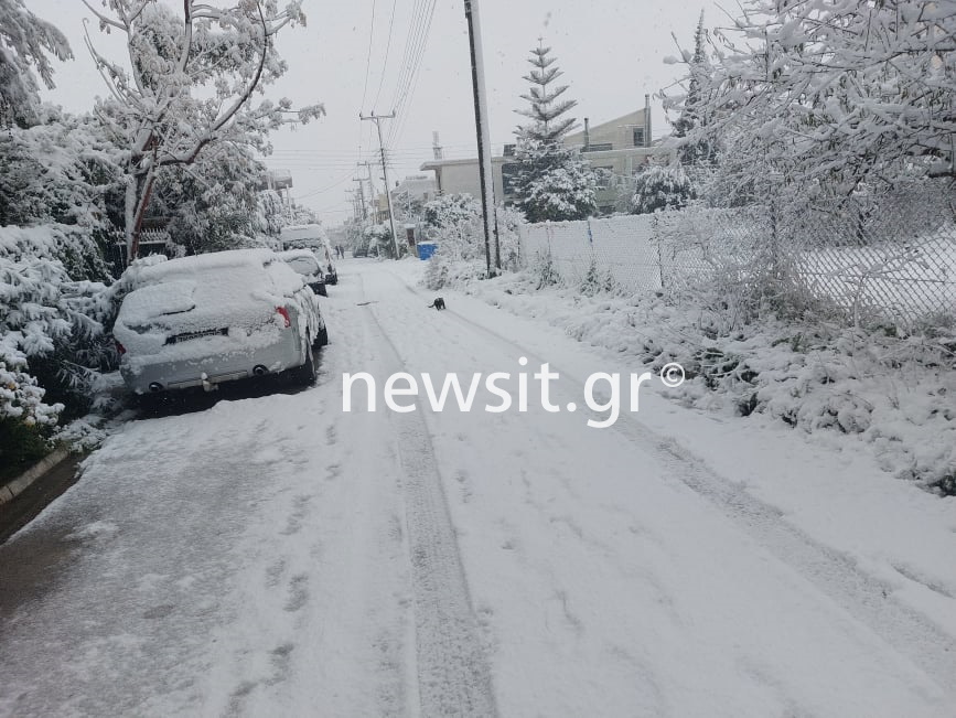 Κακοκαιρία «Ελπίς»: Άλιμος όπως Αλάσκα