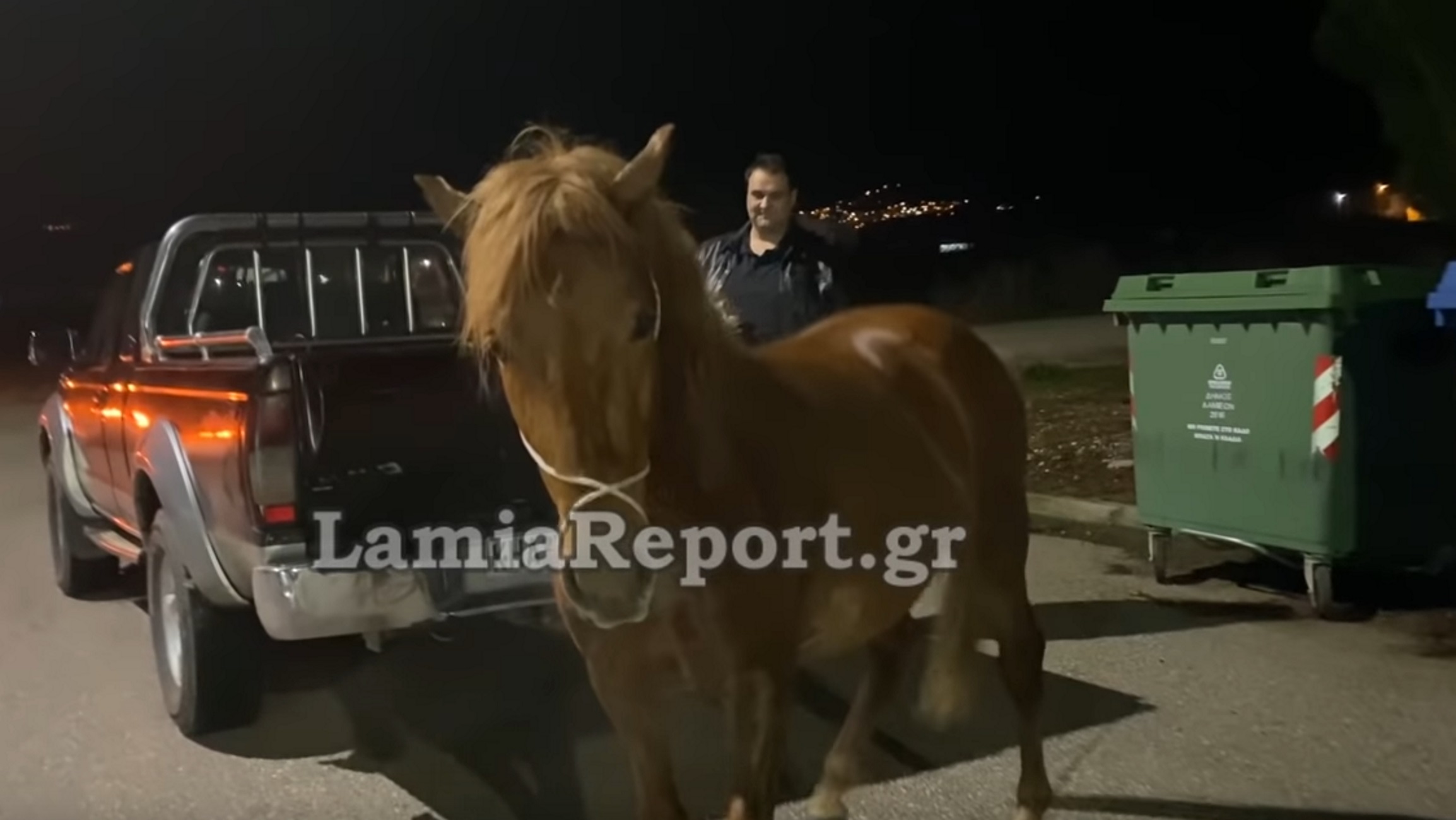 Λαμία: Κυνηγούσαν αυτό το άλογο μέσα στην πόλη – Απίθανες εικόνες για να αποτραπεί τροχαίο
