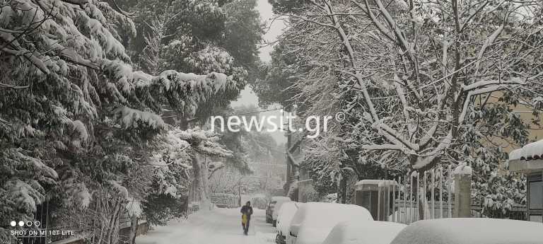 Κακοκαιρία «Ελπίς»: Χιονοπτώσεις με βροντές στο Διόνυσο