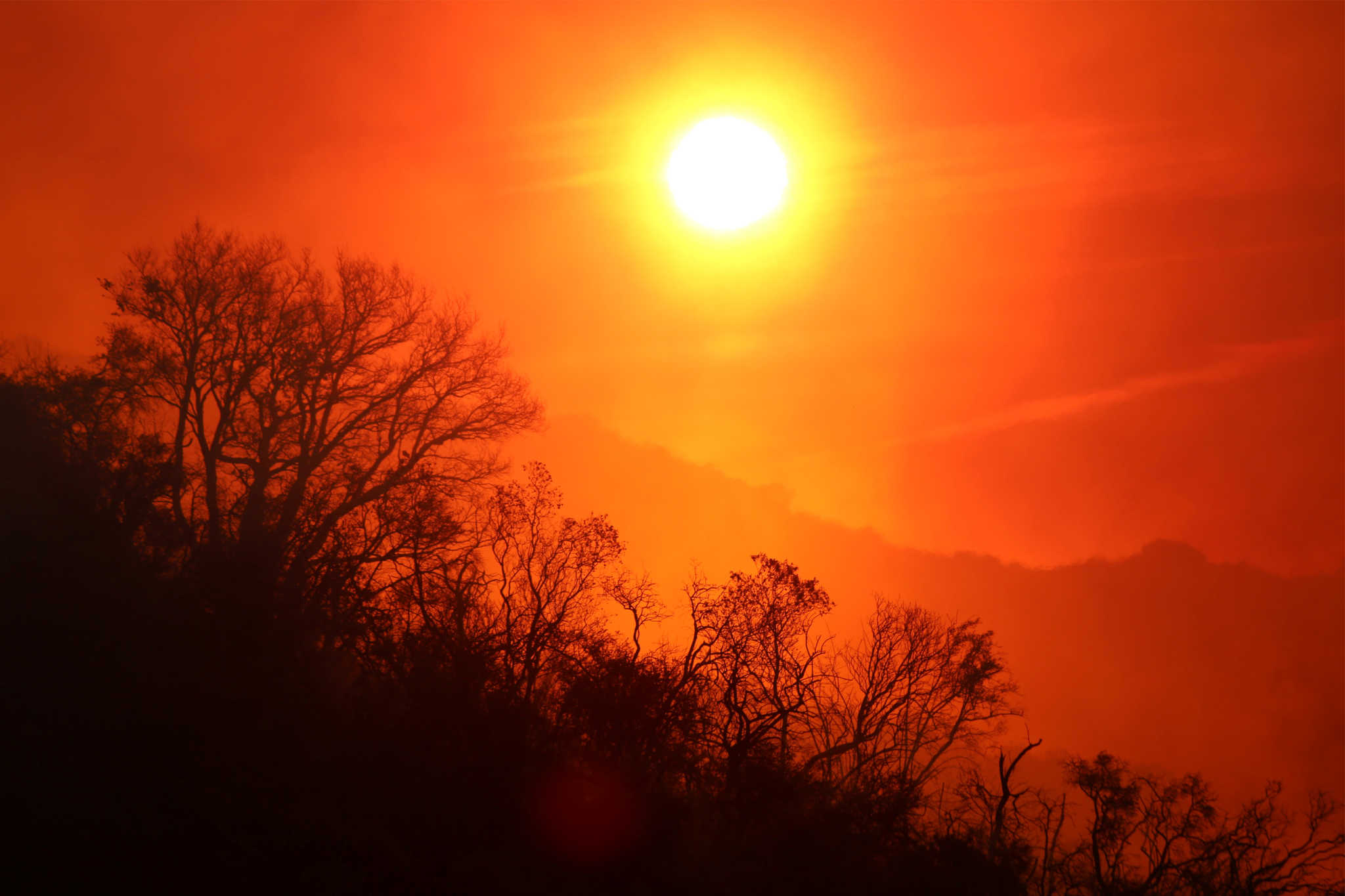 The sun rises over a smoldering landscape that was burned by a wildfire dubbed the Cave Fire, burning in the hills of Santa Barbara, California, U.S., November 26, 2019. REUTERS
