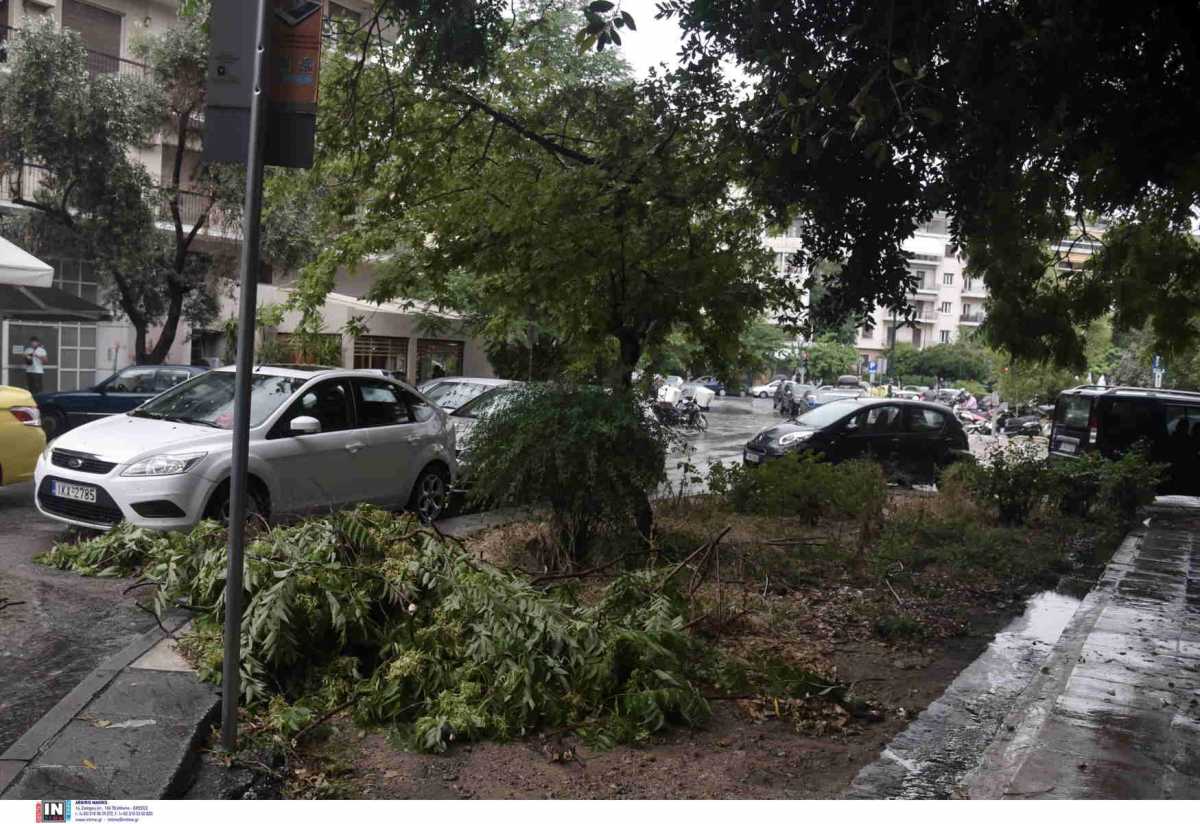 Δήμος Φιλοθέης-Ψυχικού: Αποζημιώσεις για ζημιές αυτοκινήτων λόγω πτώσης δέντρων