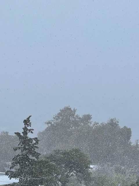 kakokairia ionia laurio rotated