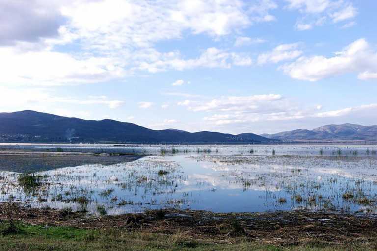 Επαναστατική ανακάλυψη: Δημιουργήθηκαν νανορομπότ που απομακρύνουν τη ρύπανση από το νερό