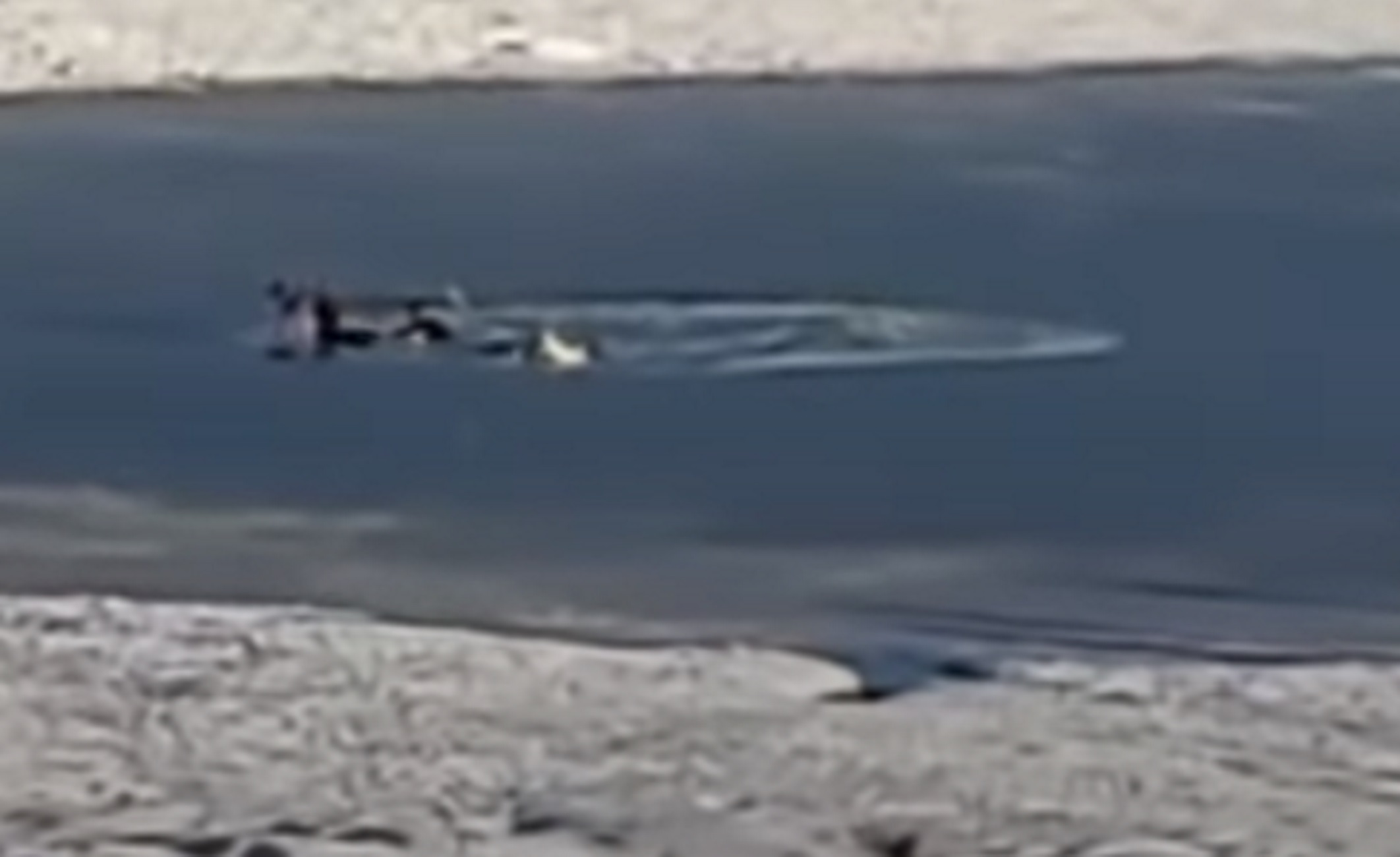 Καρδίτσα: Η στιγμή που σπάει ο πάγος στη λίμνη Πλαστήρα και πέφτουν μέσα στα παγωμένα νερά