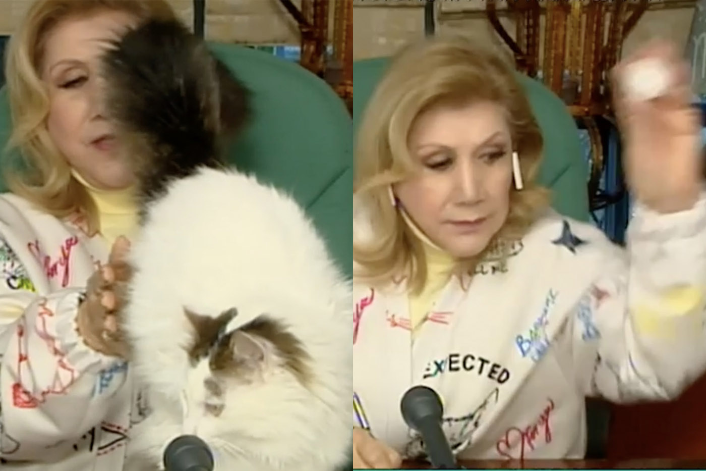 Λίτσα Πατέρα: Η απίθανη στιγμή με τον γάτο της την ώρα της εκπομπής – Του πέταξε ό,τι βρήκε μπροστά της