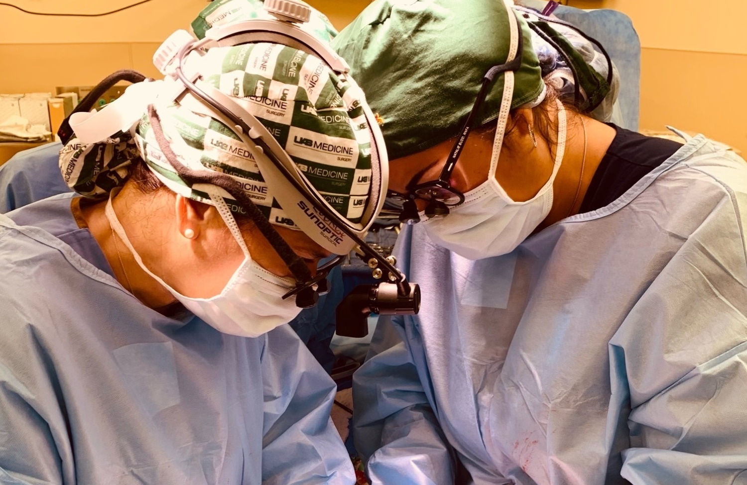 Πέτυχε η πρώτη μεταμόσχευση νεφρών από χοίρο σε άνθρωπο