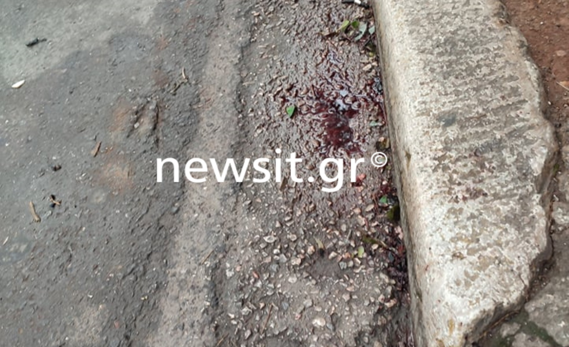 Αίματα, θραύσματα και λουλούδια στο σημείο που σκοτώθηκε ο Πάνος Νάτσης