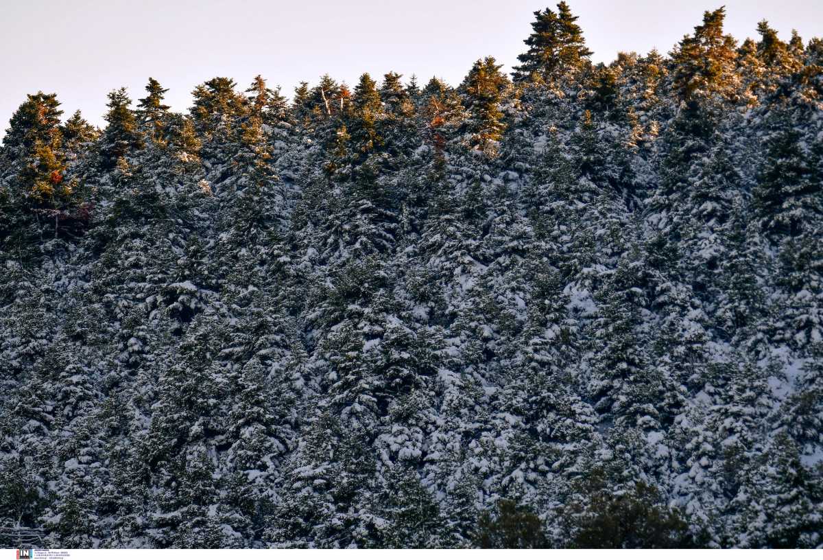 Καιρός - Meteo: Παγετός στη Βόρεια Ελλάδα - Οι θερμοκρασίες πλησίασαν τους -10 βαθμούς