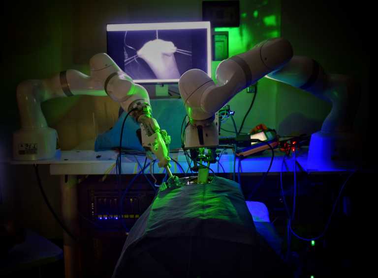 Ρομπότ έκανε χειρουργείο σε έντερο χοίρου χωρίς ανθρώπινη παρέμβαση