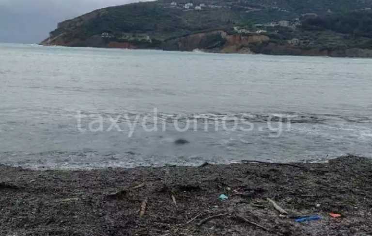 Σκόπελος: Φόβοι ότι το πτώμα με ράσα που ξέβρασε η θάλασσα ανήκει σε αγνοούμενο μοναχό του Αγίου Όρους