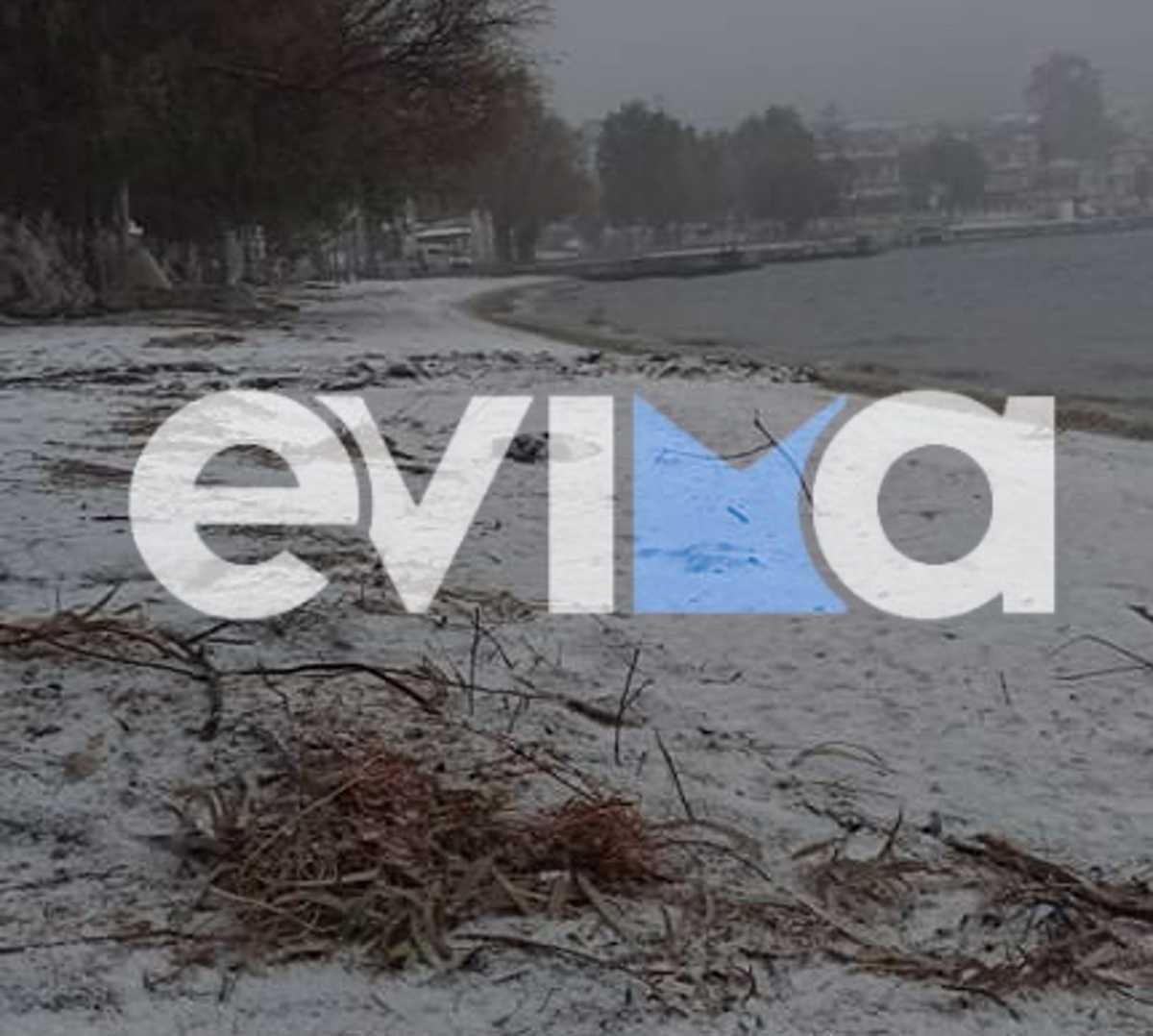 Κακοκαιρία Ελπίς – Εύβοια: Εντυπωσιακές εικόνες με χιόνια στην παραλία του Αλμυροποτάμου