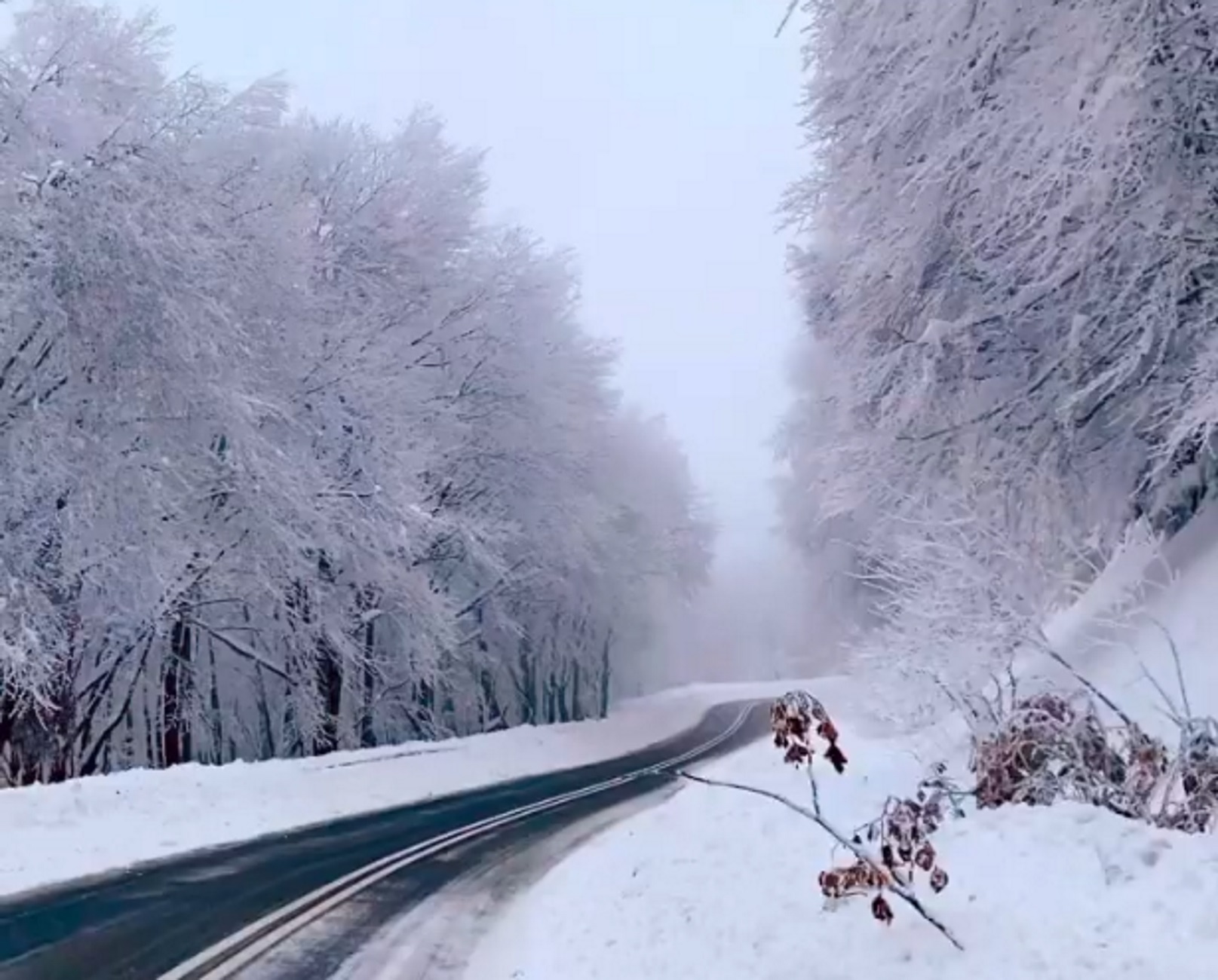 Καιρός – Φλώρινα: Ο χιονισμένος δρόμος σε ένα παραμυθένιο σκηνικό που γίνεται viral