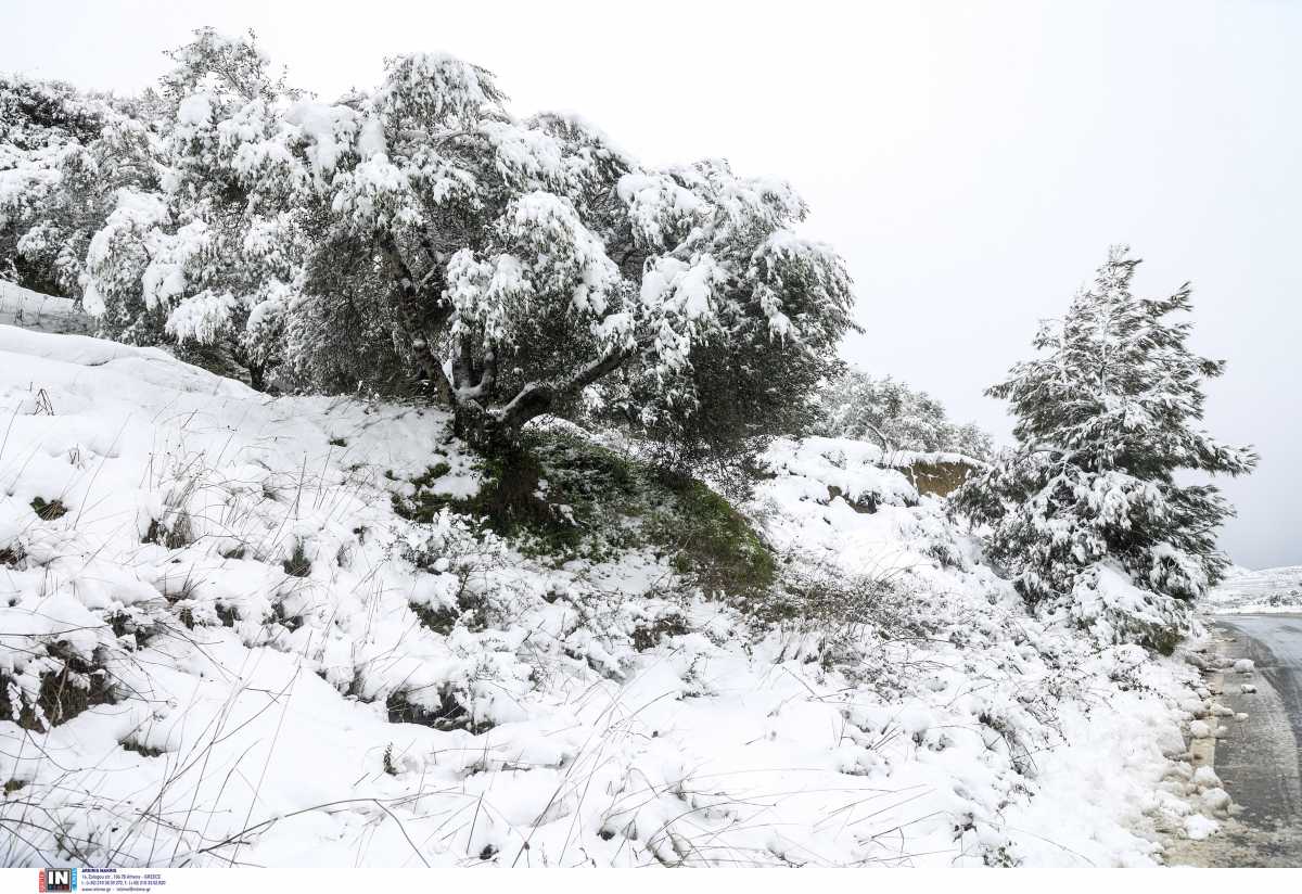 Καιρός – Κρήτη: Στην κάμερα η επιχείρηση διάσωσης κτηνοτρόφου που παγιδεύτηκε στα χιόνια