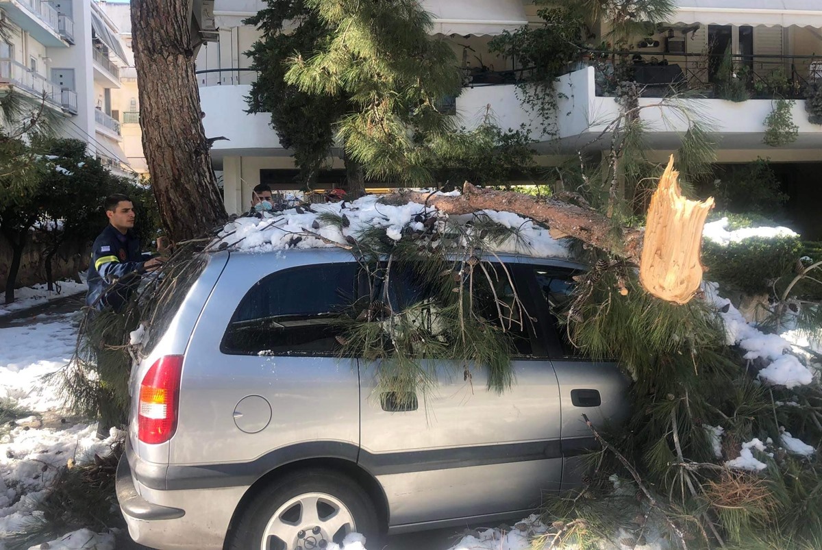 Δήμος Αθηναίων: Αποζημίωση στους ιδιοκτήτες οχημάτων που υπέστησαν ζημιές από πτώσεις δέντρων