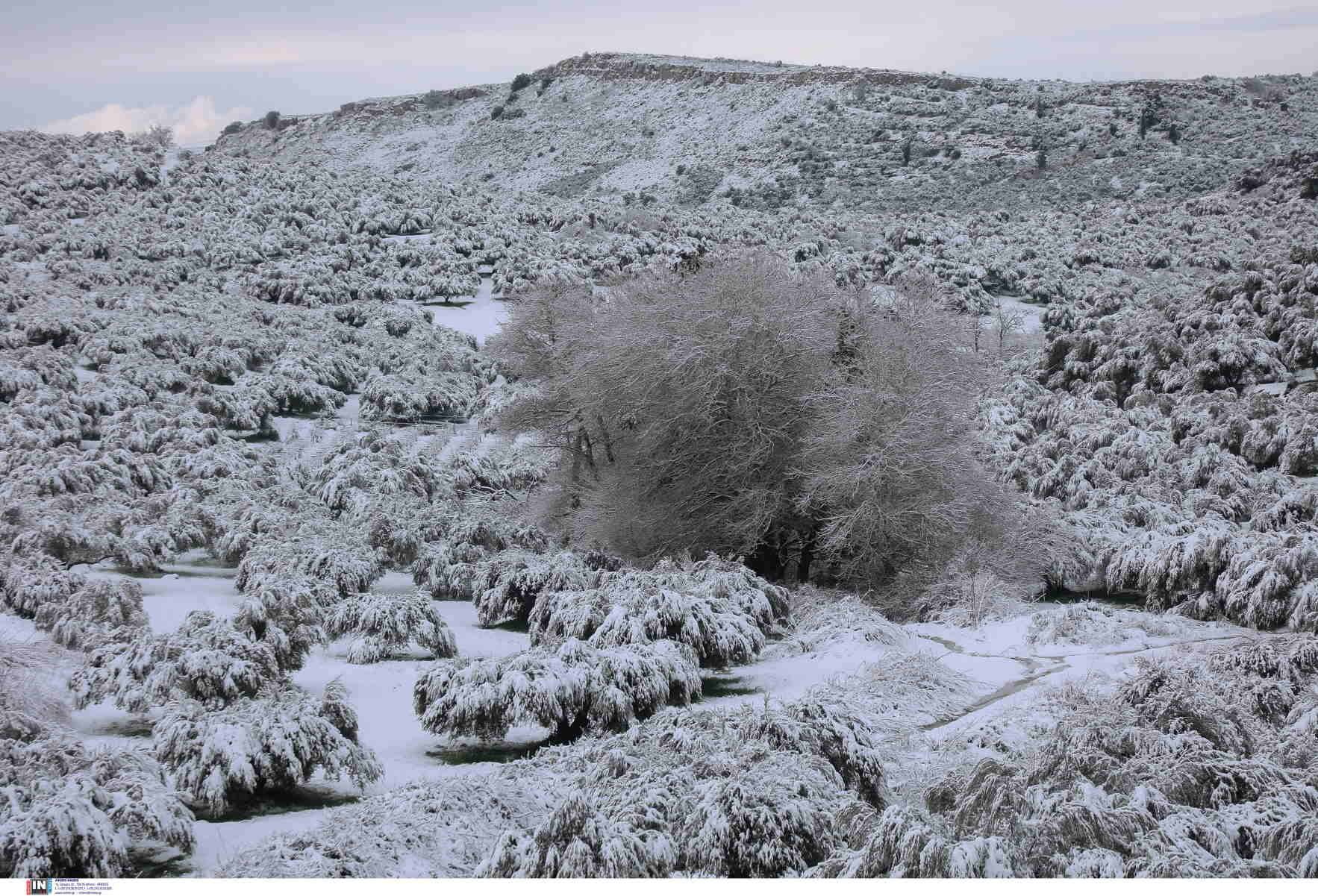 Καιρός – Meteo: Πολικές θερμοκρασίες για ακόμη μία μέρα – Πού έδειξε το θερμόμετρο -15°C