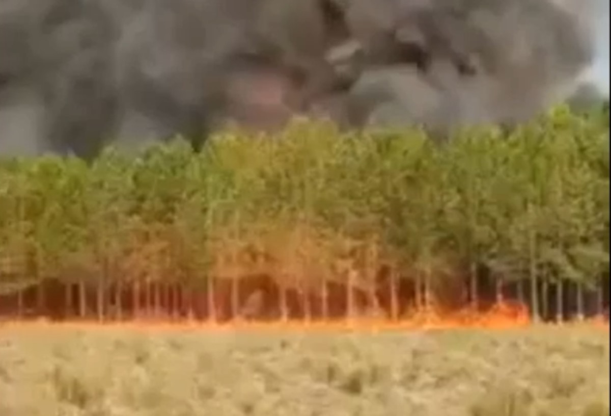 Αργεντινή: Πυρκαγιές έκαναν στάχτη 7 εκατ. στρέμματα – Τουλάχιστον 6 γιγαντιαία ενεργά μέτωπα