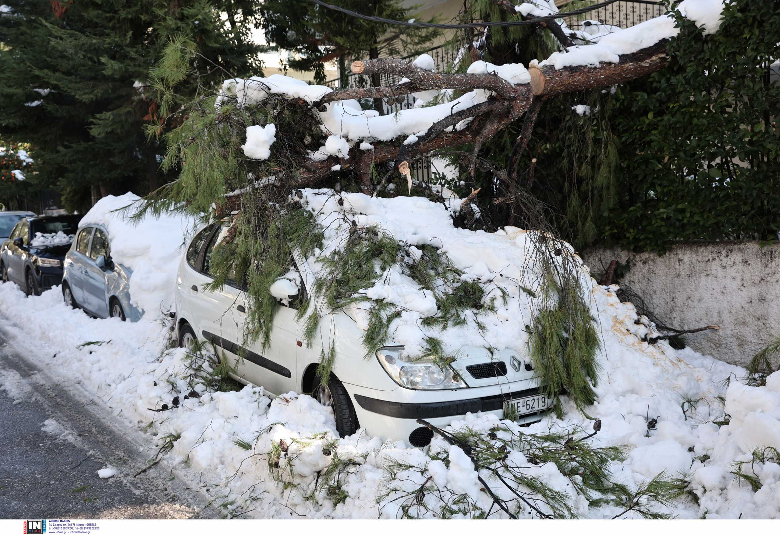 Δήμος Αγίας Παρασκευής: Οι προϋποθέσεις για να αποζημιωθούν οι ιδιοκτήτες αυτοκινήτων από πτώση δέντρων