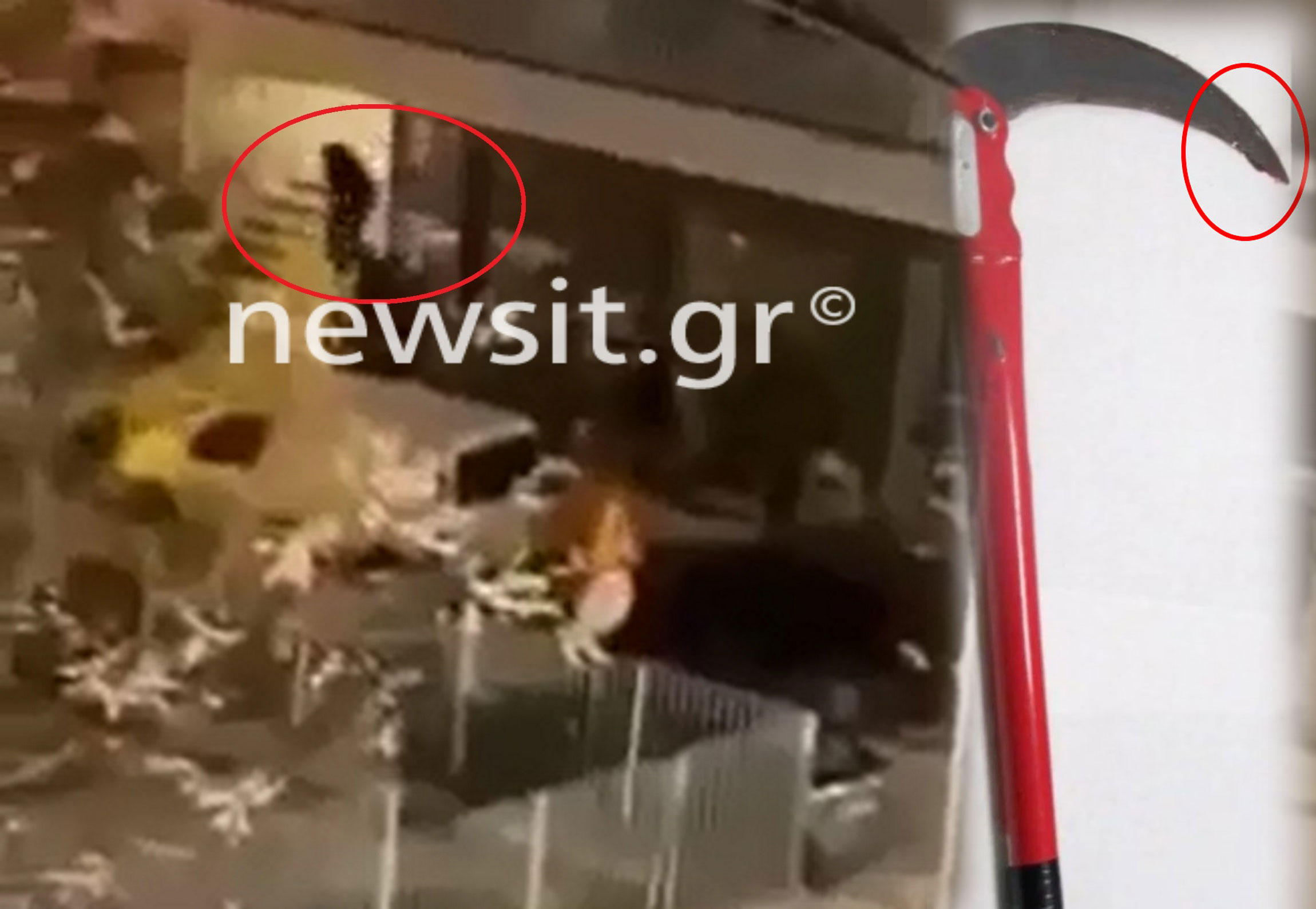 Δολοφονία 19χρονου στη Θεσσαλονίκη: Άλλες τέσσερις συλλήψεις και νέα εντάλματα σύλληψης