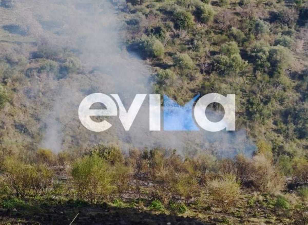 Φωτιά στην Εύβοια