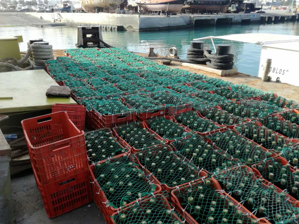 Κρήτη: Στον βυθό της θάλασσας 5.000 φιάλες κρασιού για παλαίωση